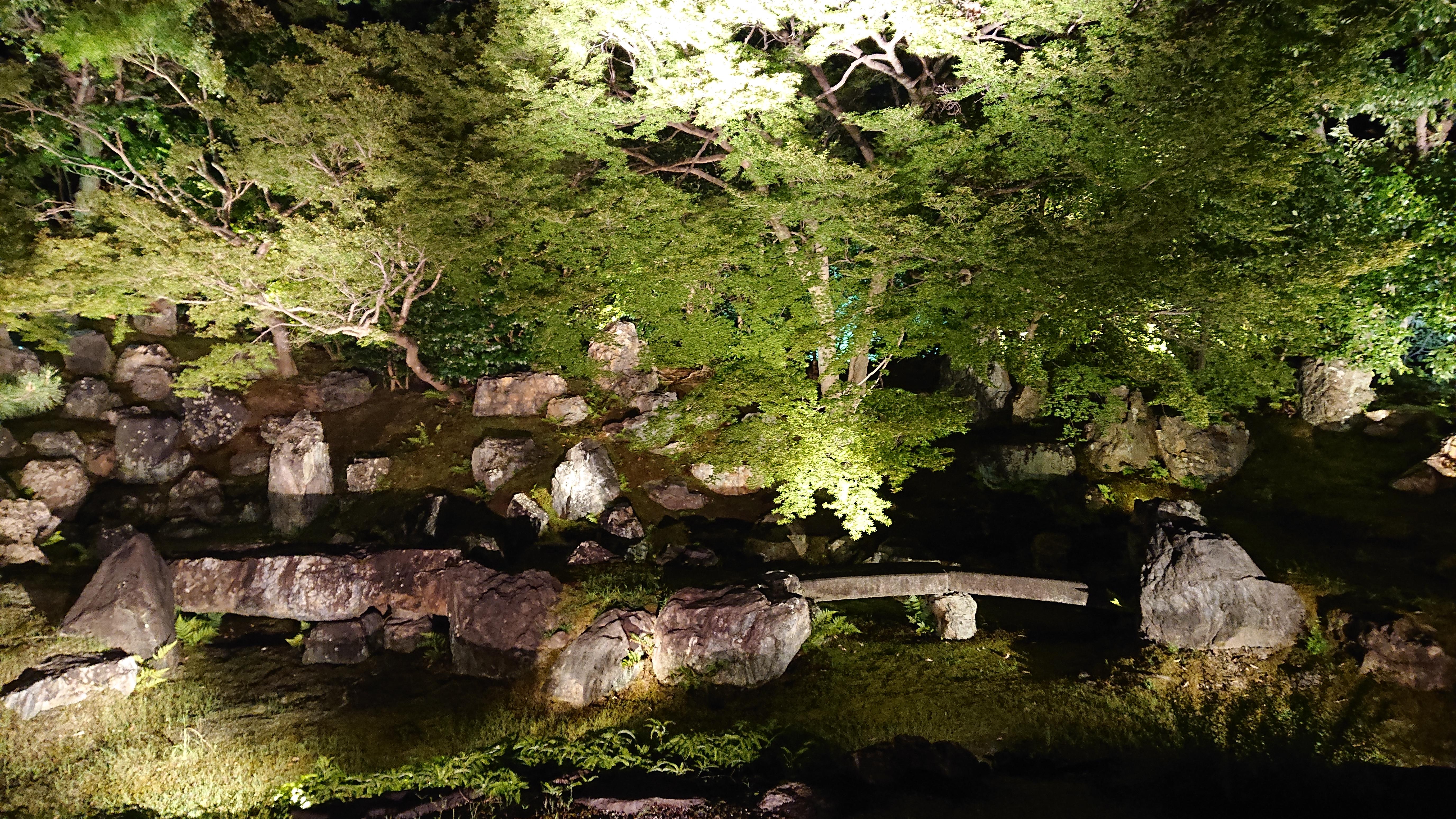 DSC_1398.JPG